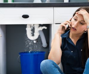 About Emergency plumbing pros Iliamna, AK